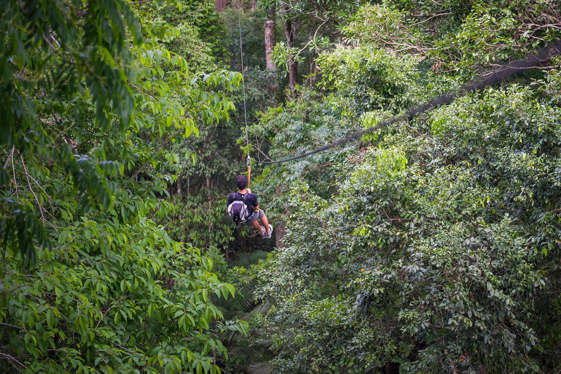 Ziplining